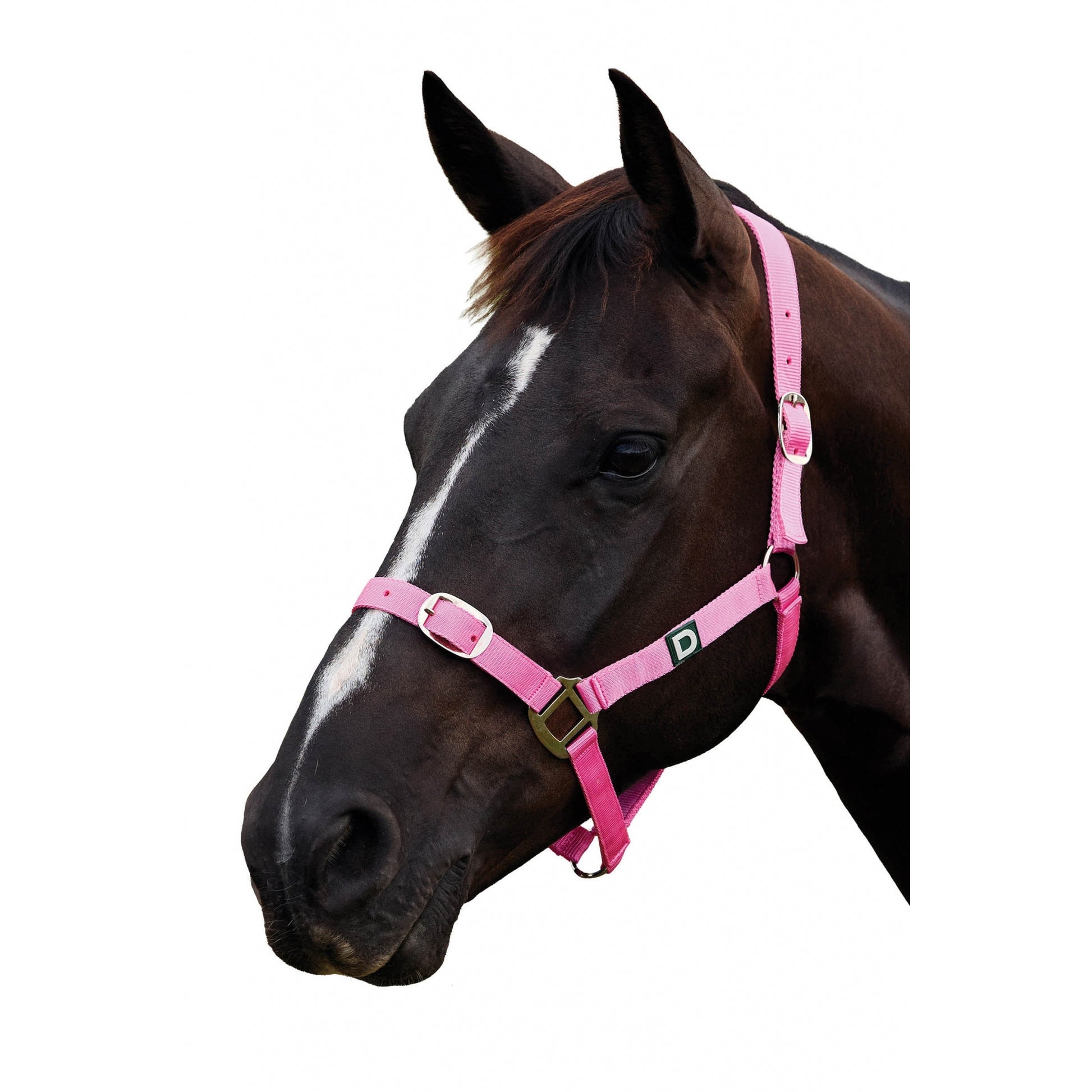 Dublin Everyday Breakaway Halter