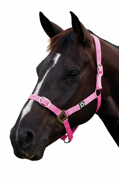 Dublin Everyday Breakaway Halter