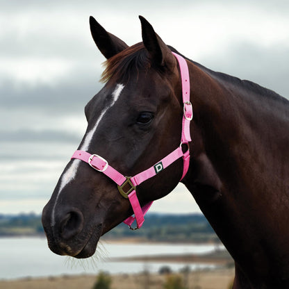 Dublin Everyday Breakaway Halter