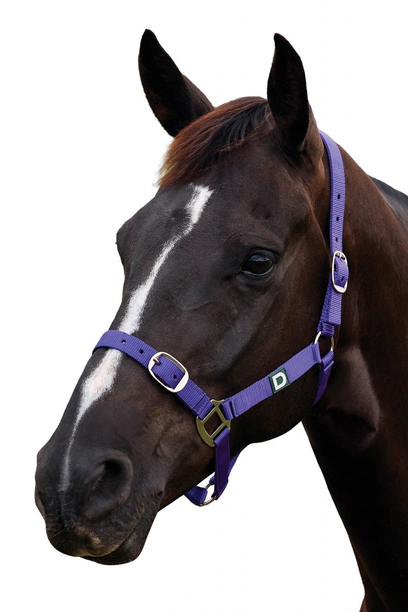 Dublin Everyday Breakaway Halter