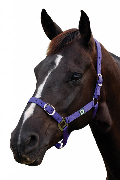 Dublin Everyday Breakaway Halter