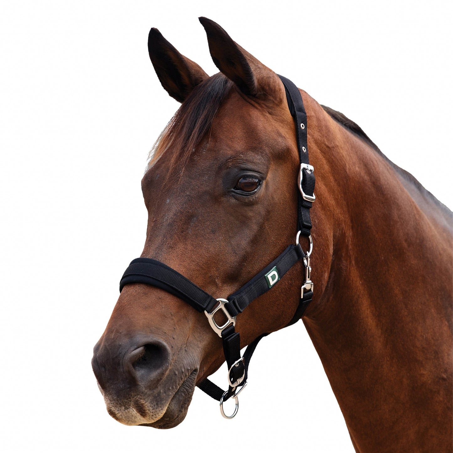 4-503864-01.jpg