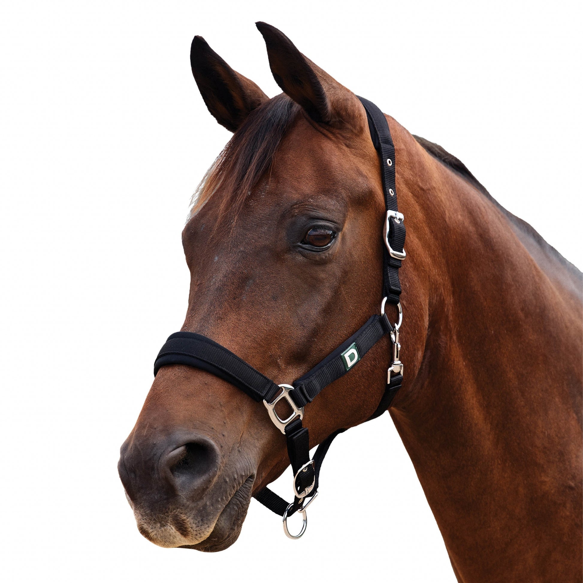 Dublin Neo Comfort Breakaway Halter