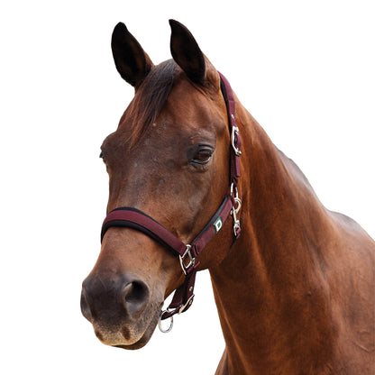 Dublin Neo Comfort Breakaway Halter