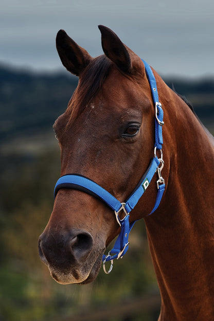 Dublin Neo Comfort Breakaway Halter