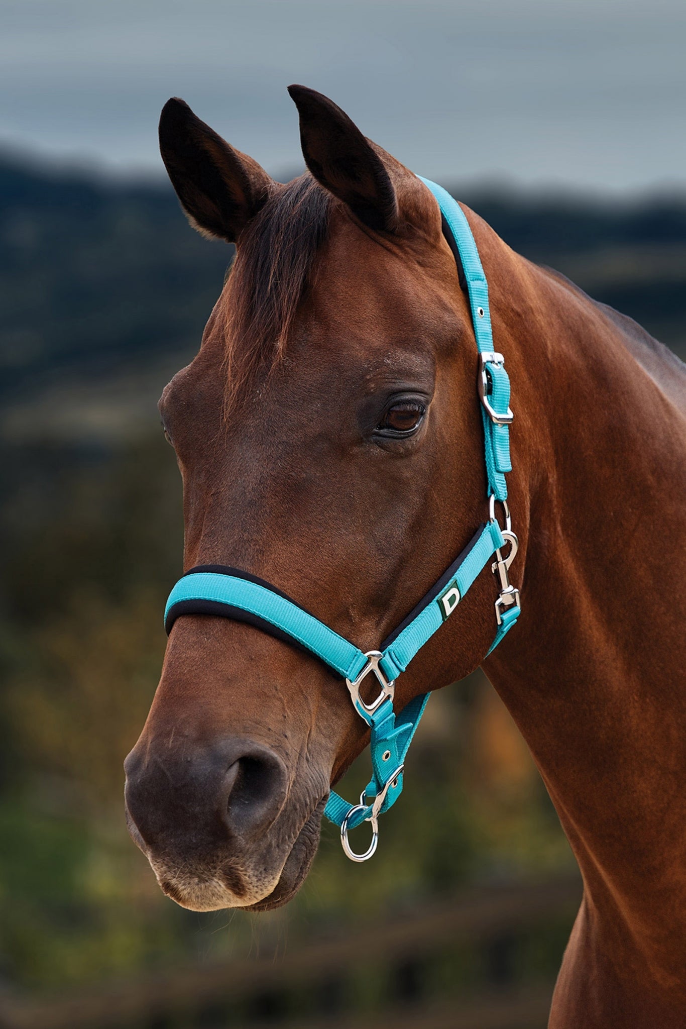 Dublin Neo Comfort Breakaway Halter