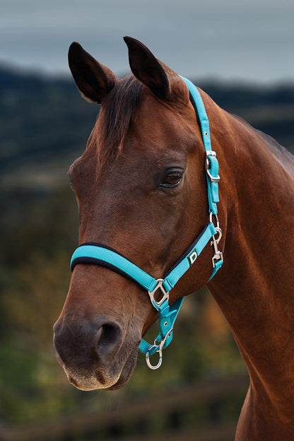 Dublin Neo Comfort Breakaway Halter
