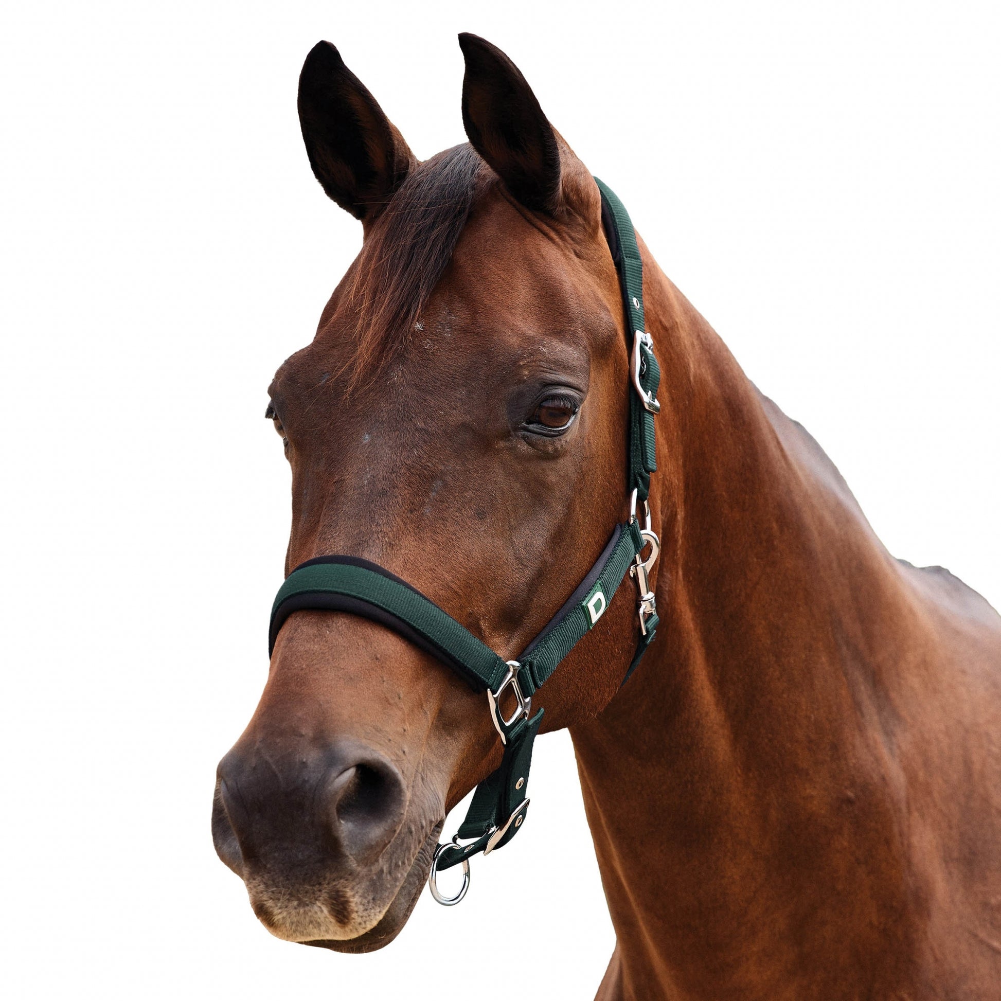 Dublin Neo Comfort Breakaway Halter