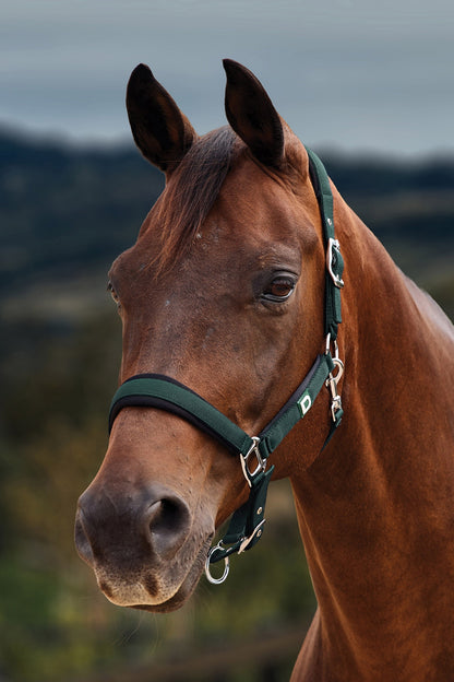 Dublin Neo Comfort Breakaway Halter