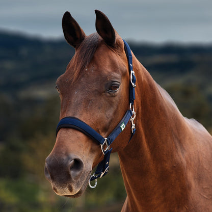 Dublin Neo Comfort Breakaway Halter