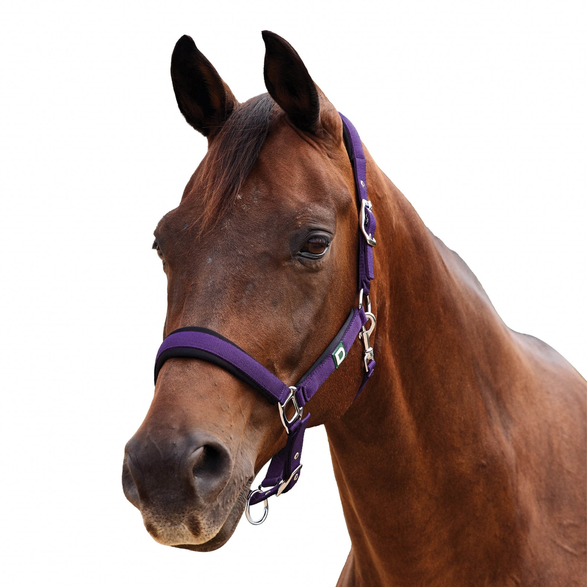 Dublin Neo Comfort Breakaway Halter