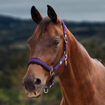 Dublin Neo Comfort Breakaway Halter