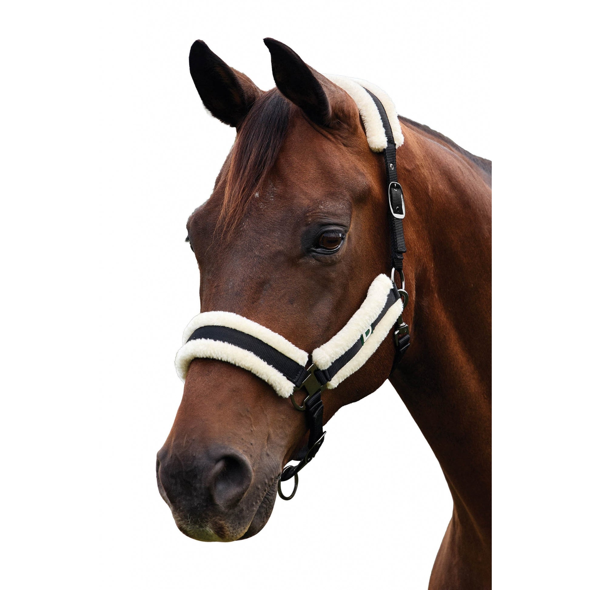 Dublin Soft Fit Breakaway Halter