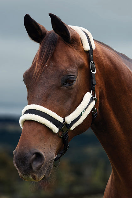Dublin Soft Fit Breakaway Halter