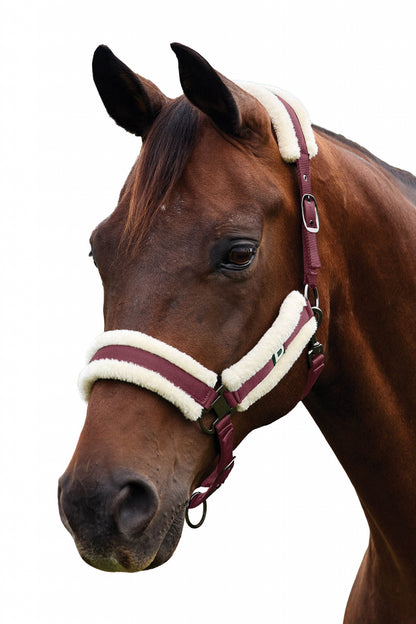 Dublin Soft Fit Breakaway Halter