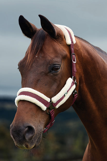 Dublin Soft Fit Breakaway Halter