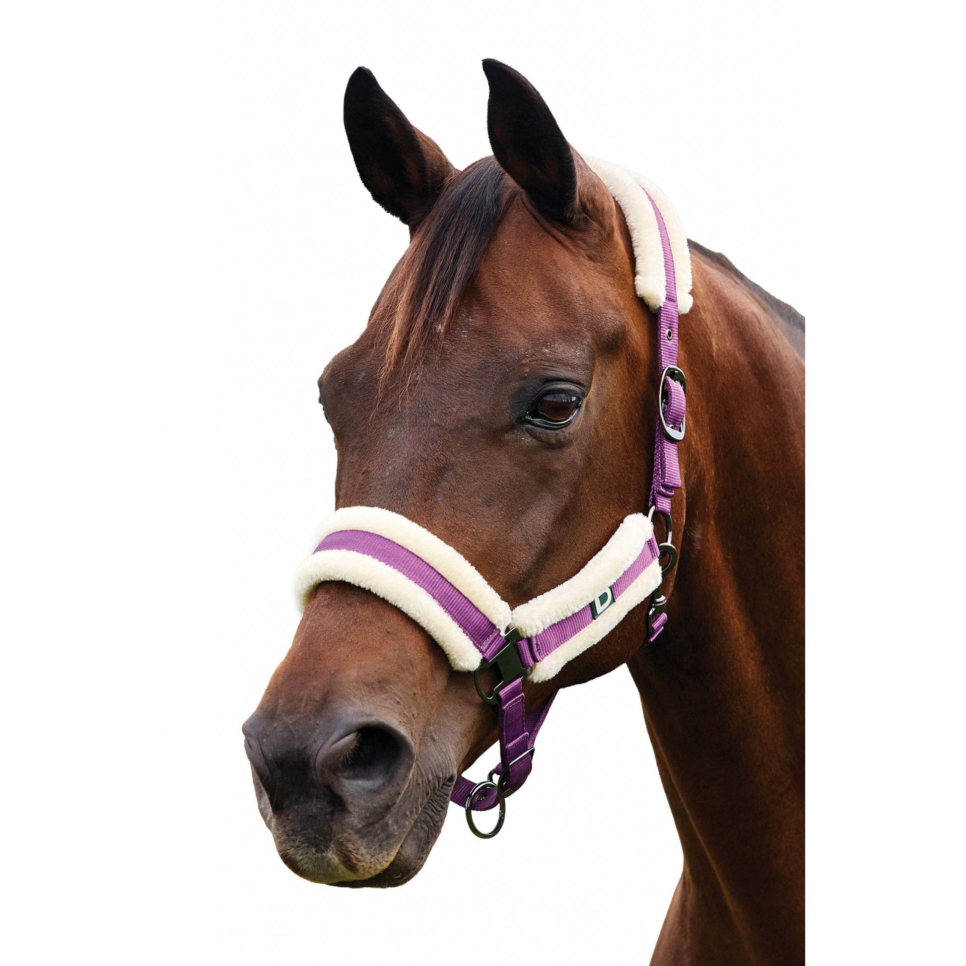 Dublin Soft Fit Breakaway Halter