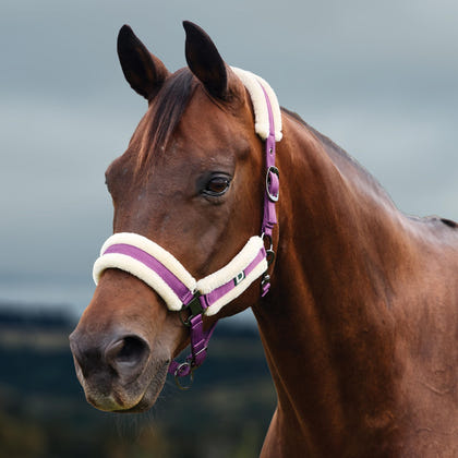 Dublin Soft Fit Breakaway Halter