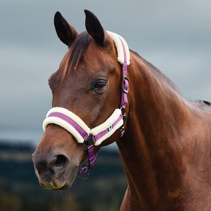 Dublin Soft Fit Breakaway Halter