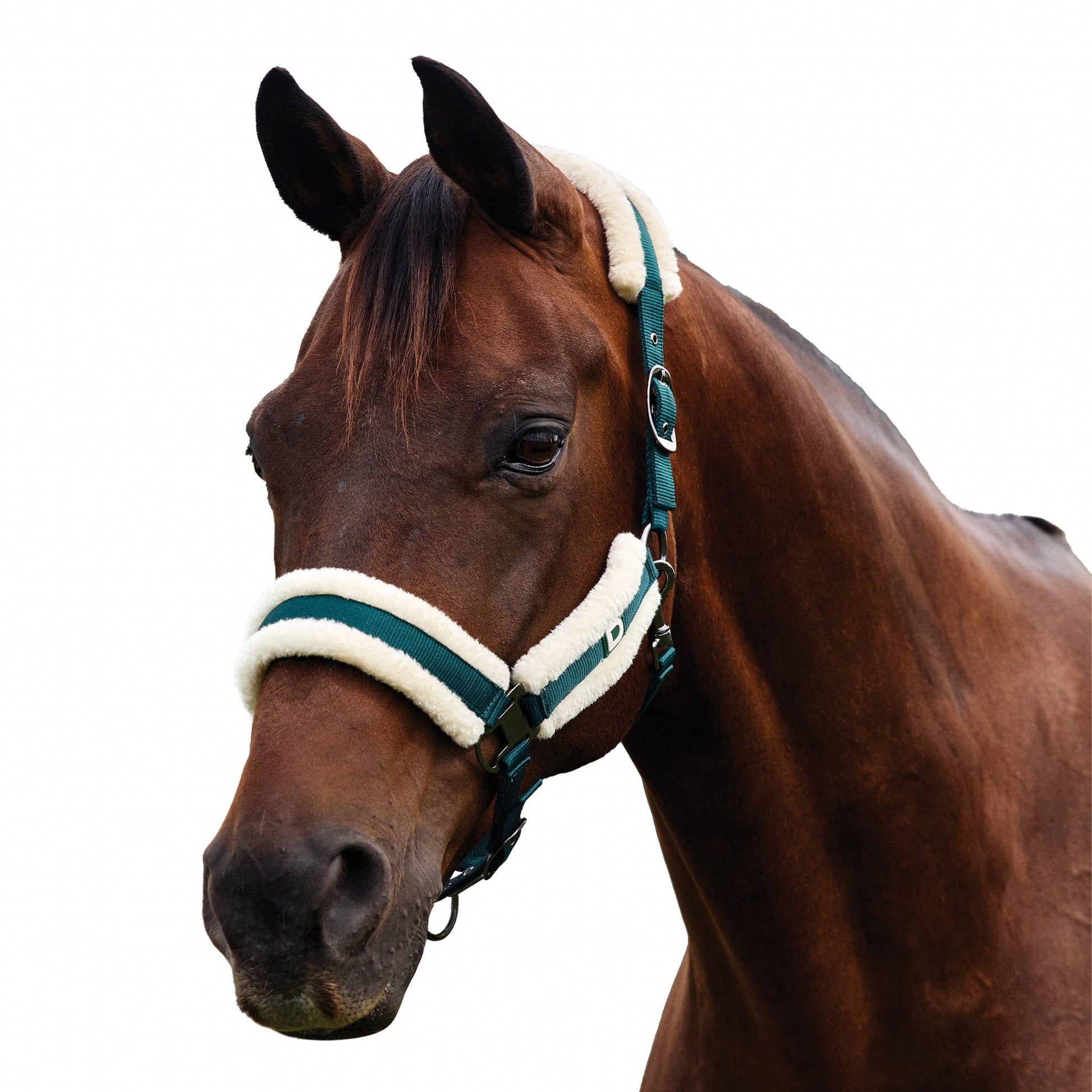 Dublin Soft Fit Breakaway Halter