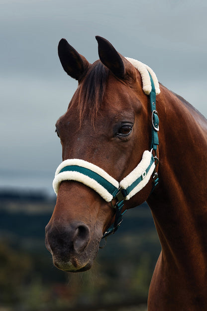 Dublin Soft Fit Breakaway Halter