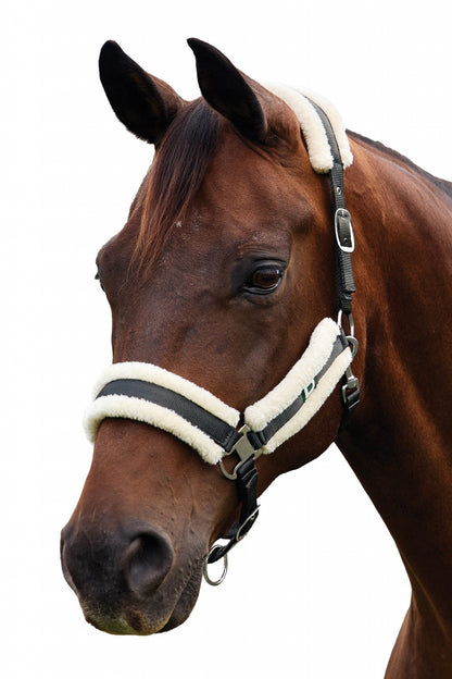 Dublin Soft Fit Breakaway Halter