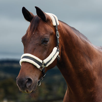 Dublin Soft Fit Breakaway Halter
