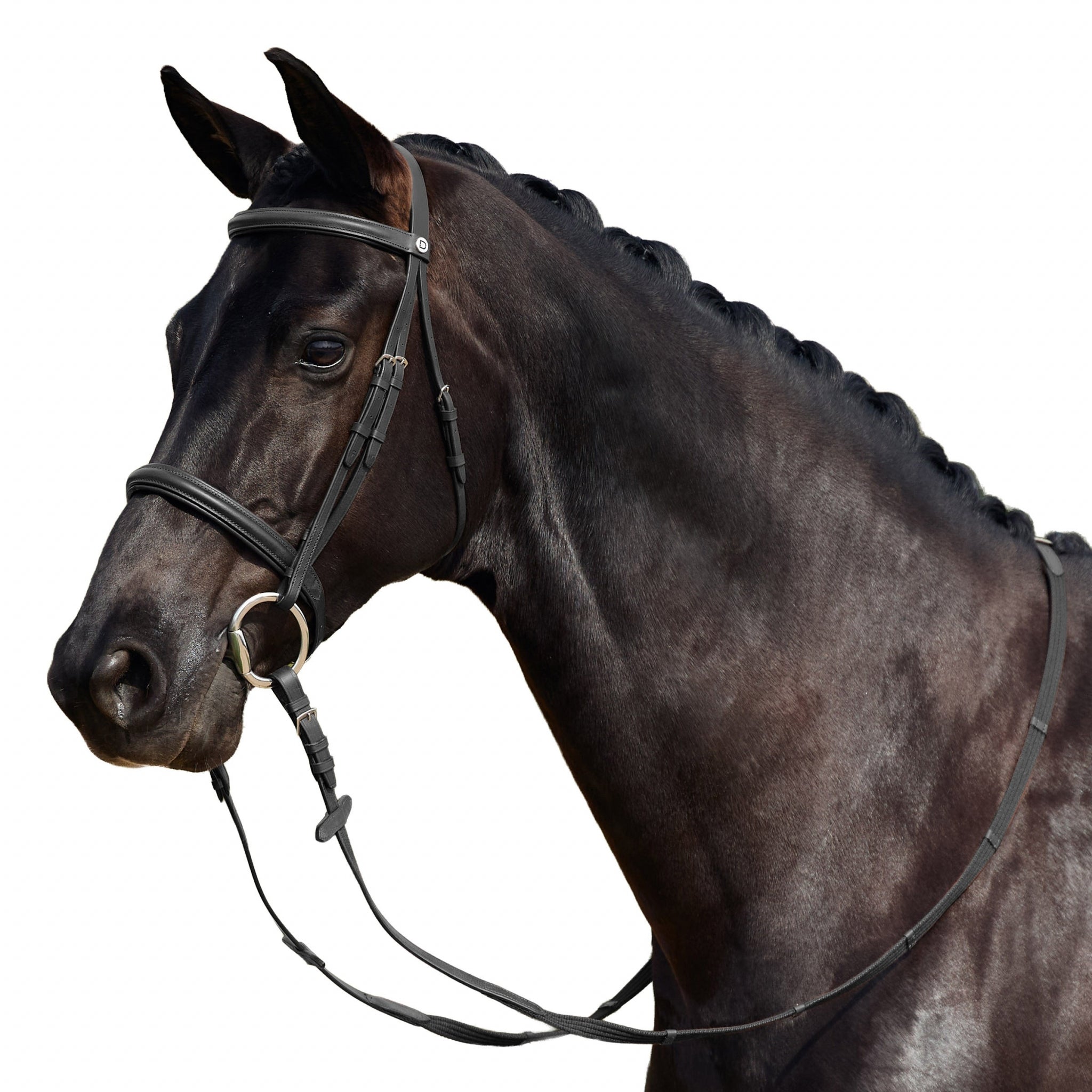 Dublin Padded Cavesson Bridle