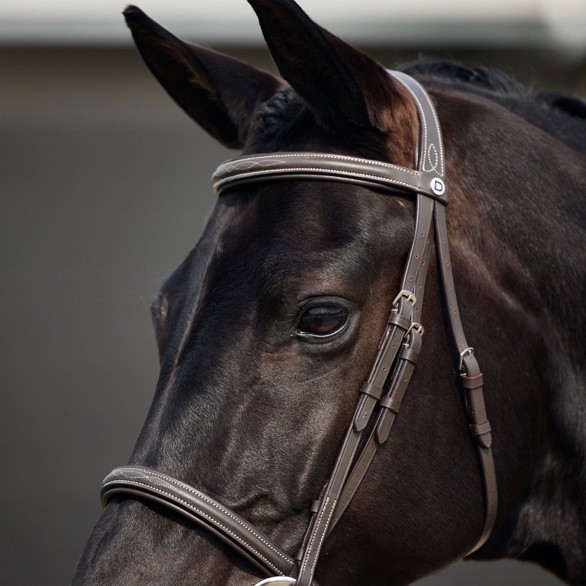 Dublin Padded Fancy Stitch Hunt Bridle