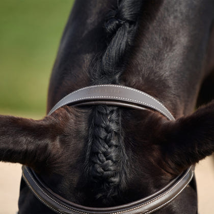 Dublin Padded Fancy Stitch Hunt Bridle