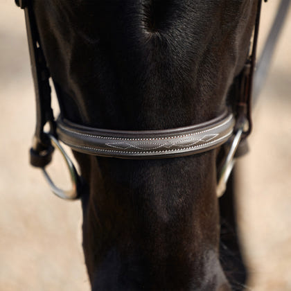 Dublin Padded Fancy Stitch Hunt Bridle