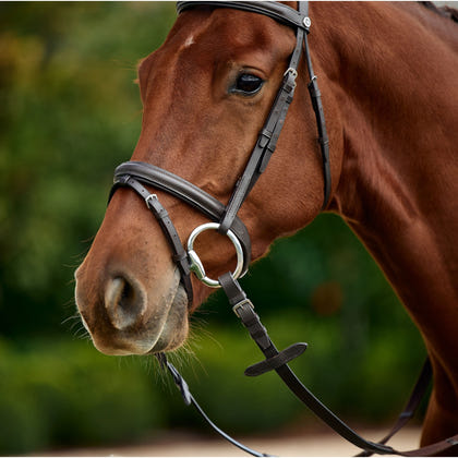 Dublin Flash Bridle