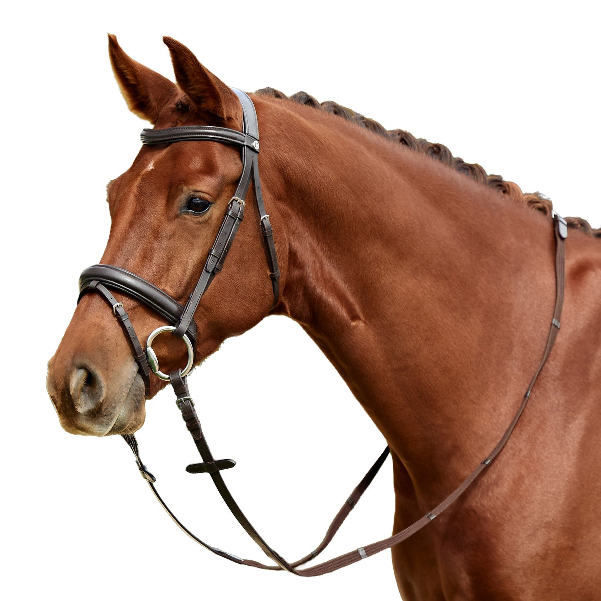 Dublin Padded Flash Bridle