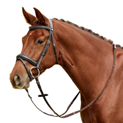 Dublin Padded Flash Bridle