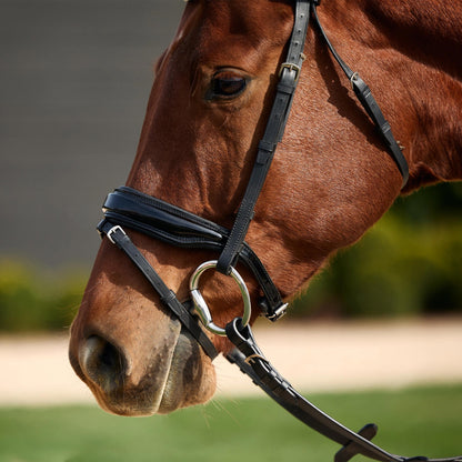 Dublin Padded Patent Flash Bridle