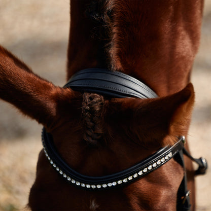 Dublin Padded Patent Flash Bridle