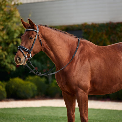 Dublin Padded Patent Flash Bridle