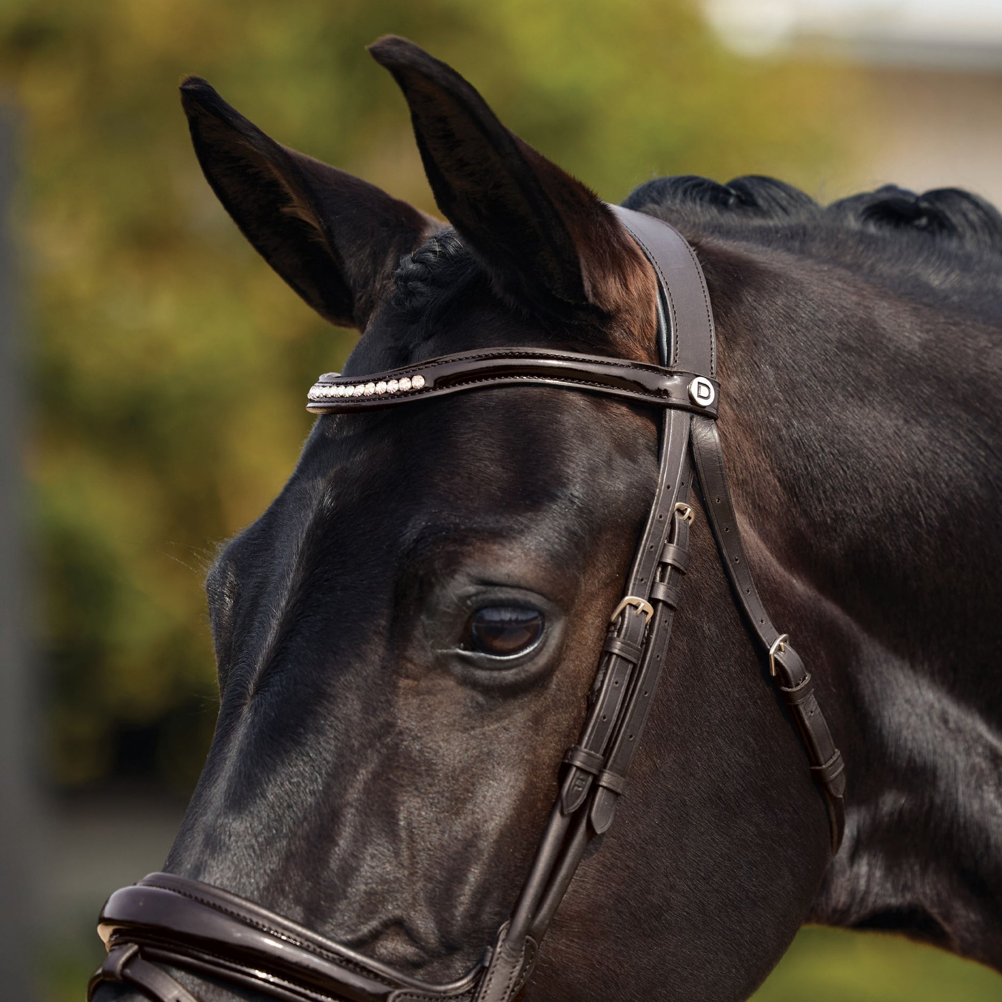 Dublin Patent Bridle