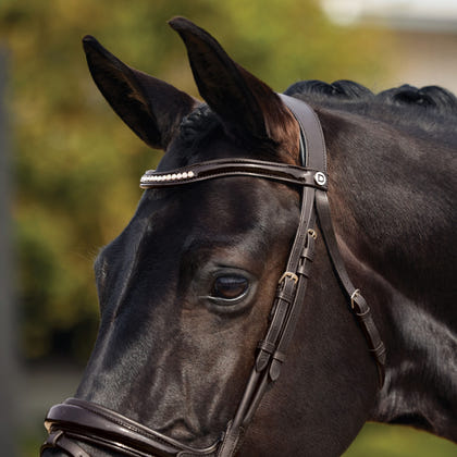 Dublin Patent Bridle