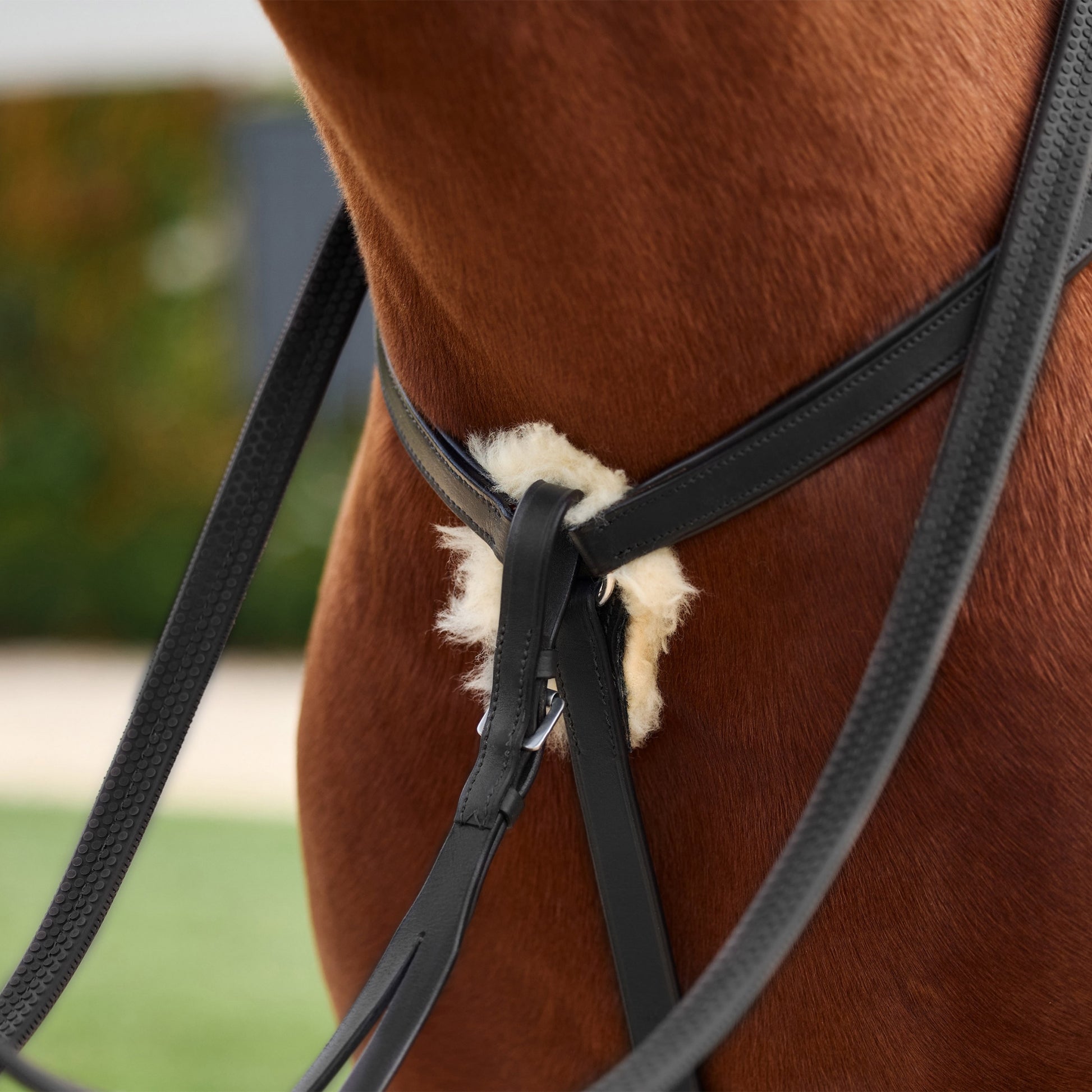 Dublin 5-Point Event Breastplate