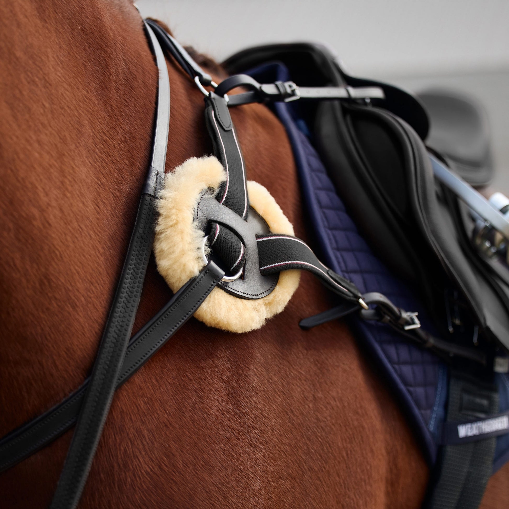 Dublin 5-Point Event Breastplate