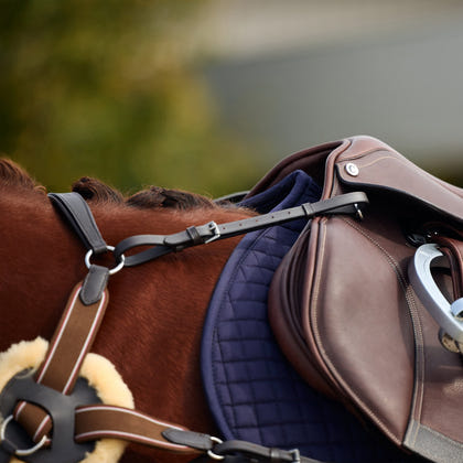 Dublin 5-Point Event Breastplate