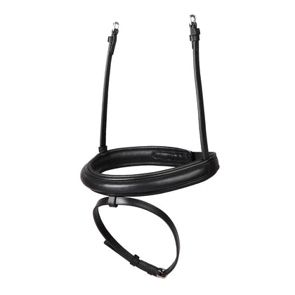 Dublin Padded Flash Noseband