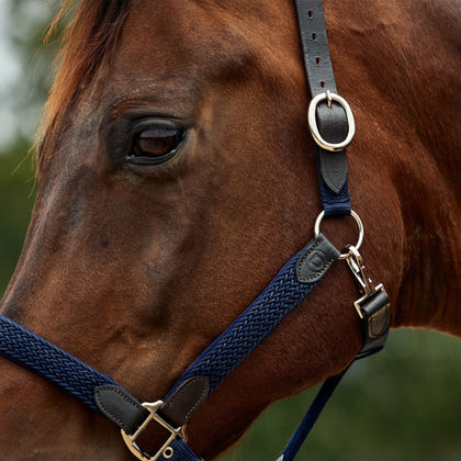 Dublin Braided Leather Headcollar