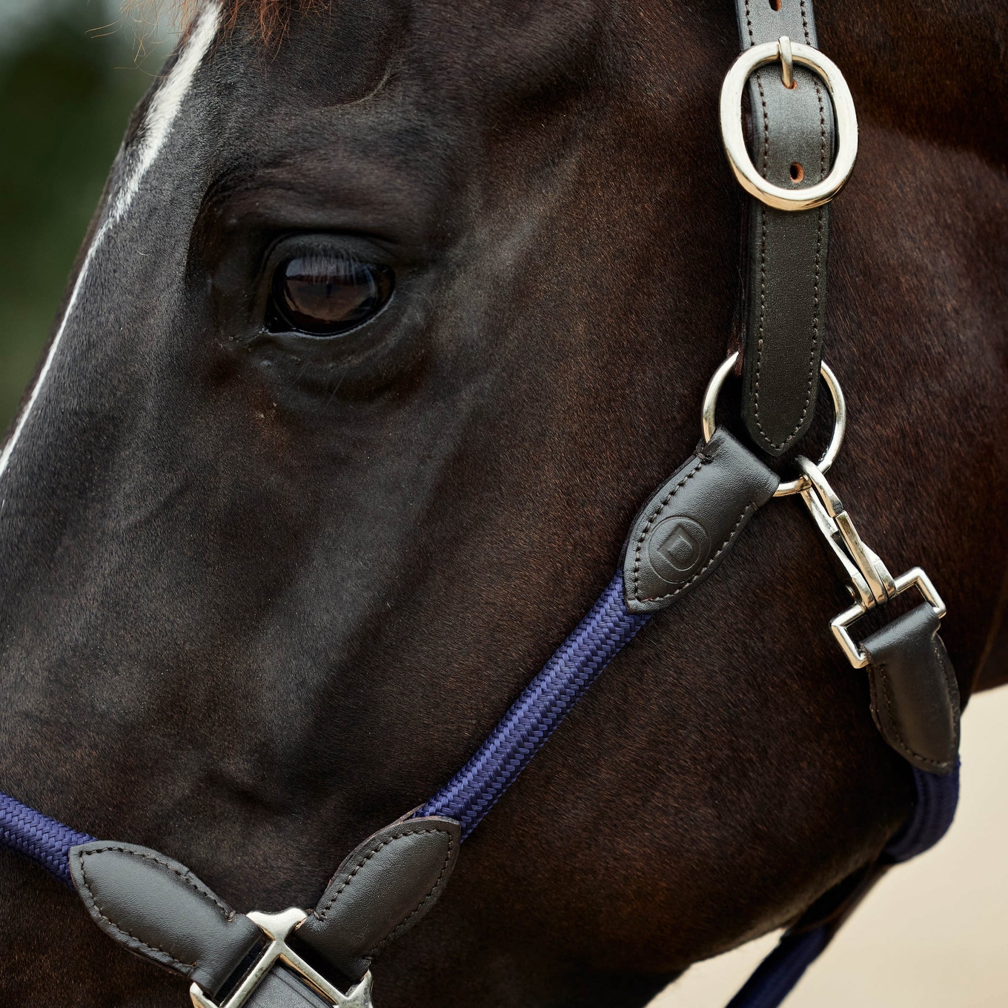Dublin Leather Rope Headcollar