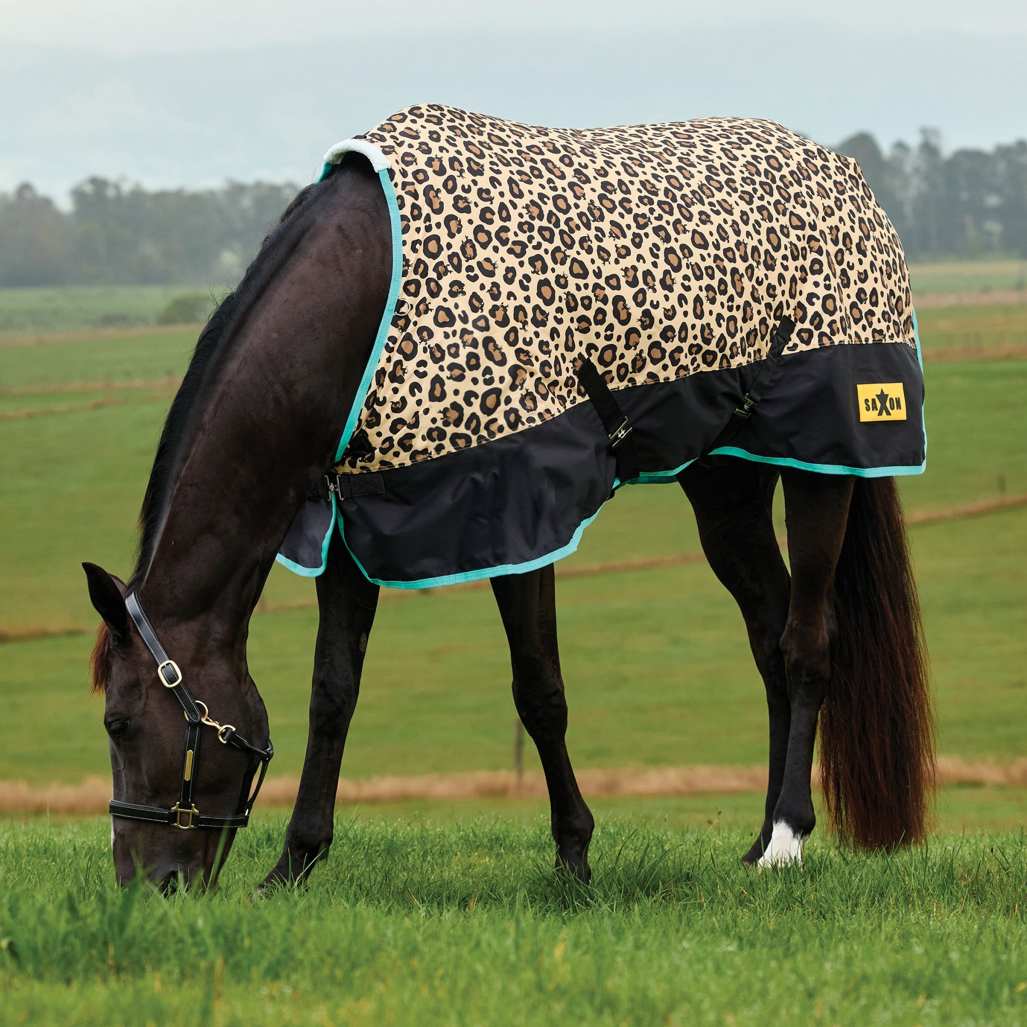 Saxon Defiant 600D Blanket Medium