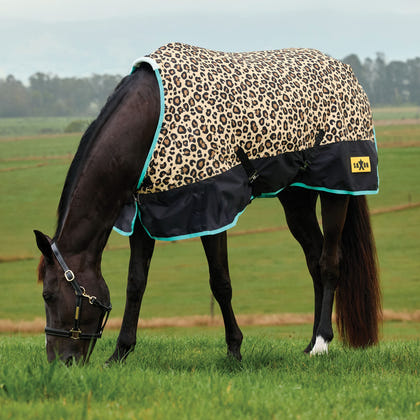 Saxon Defiant 600D Blanket Medium