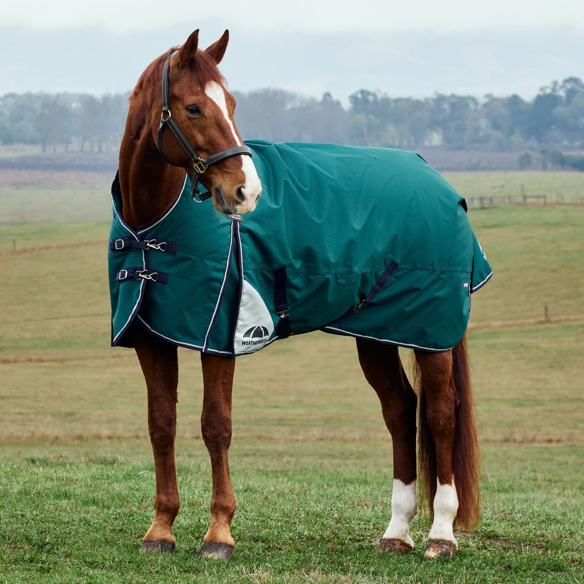 Weatherbeeta ComFiTec Plus Dynamic Turnout High Neck 0g