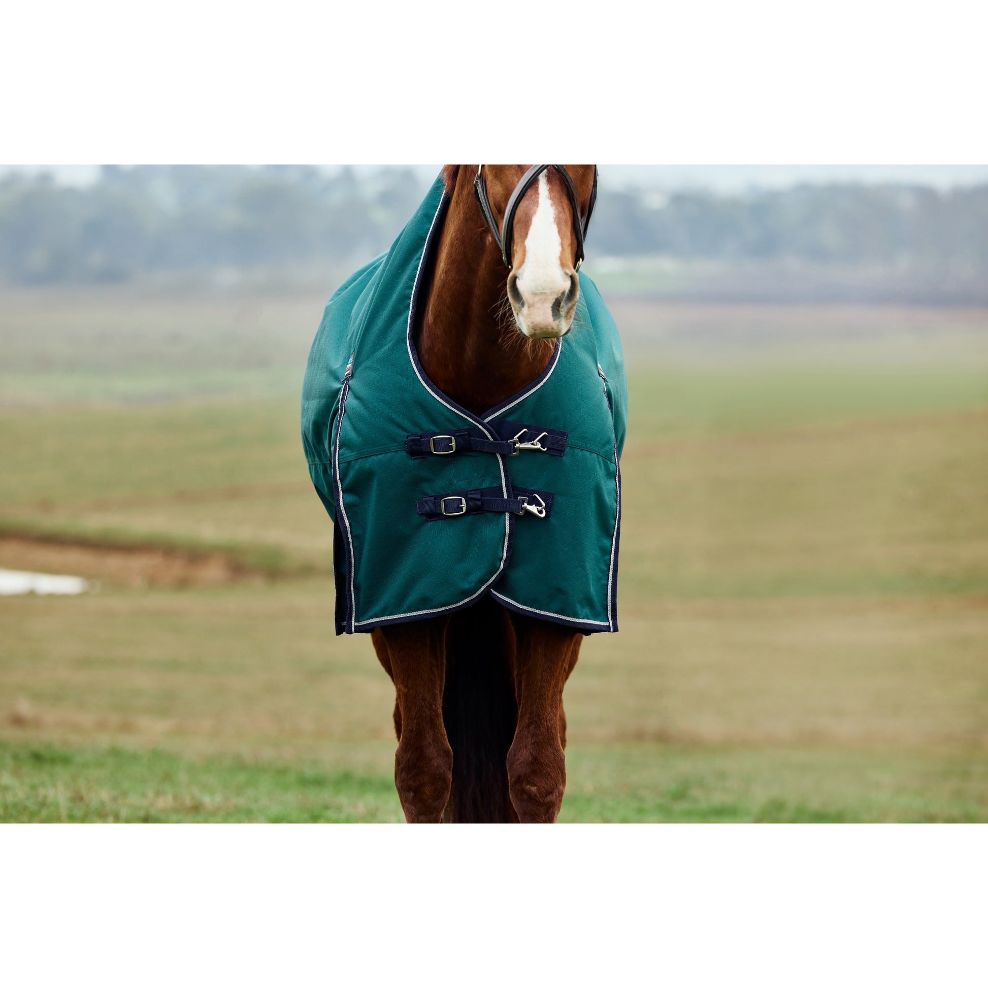 Weatherbeeta ComFiTec Plus Dynamic Turnout High Neck 100g