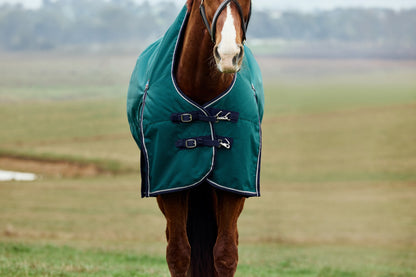 Weatherbeeta ComFiTec Plus Dynamic Turnout High Neck 0g